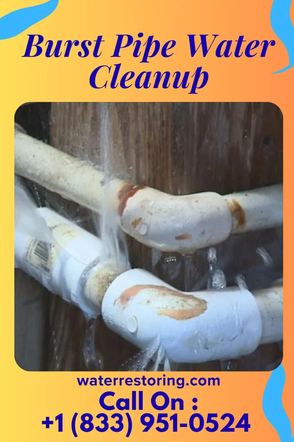 Burst Pipe Water Cleanup in Matfield Green, KS