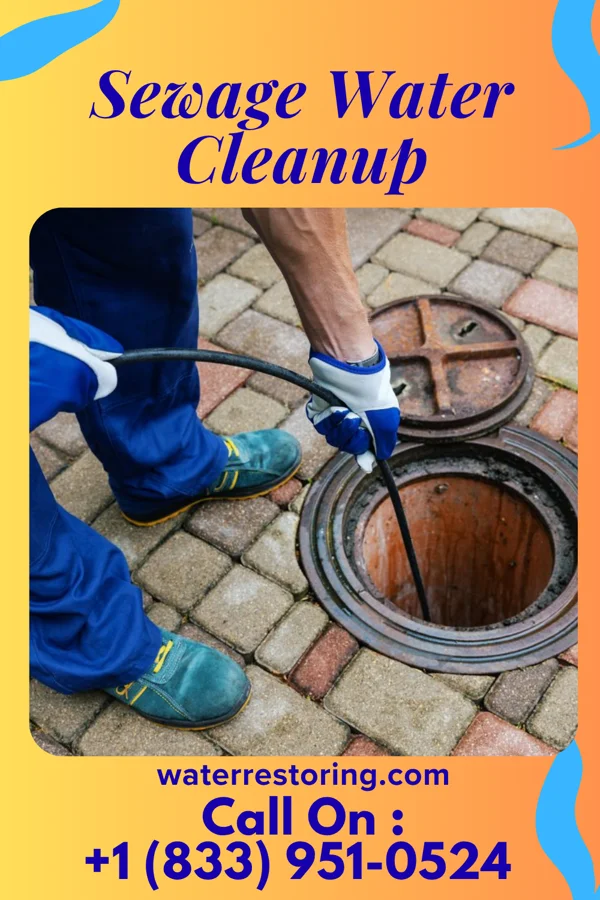 Sewage Water Cleanup in Matfield Green, KS